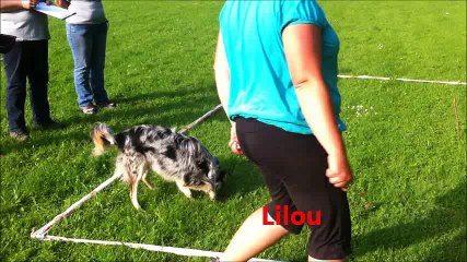 Entrainement cavage Lilou et Gin 09-06-2016