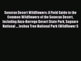 Read Books Sonoran Desert Wildflowers: A Field Guide to the Common Wildflowers of the Sonoran