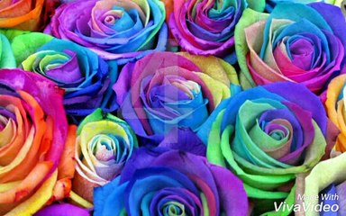 Top 10 REAL Aliens caught on camera