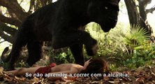 Trailer Legendado - Mogli: O Menino Lobo - 14 de abril nos cinemas