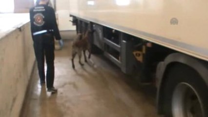 Kapıkule'de Uyuşturucu Operasyonu - Edirne