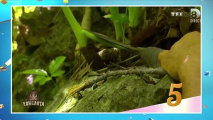 TPMP : Gilles Verdez insulte et se moque de Pascal, candidat de Koh-Lanta