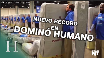 Récord mundial de dominó humano