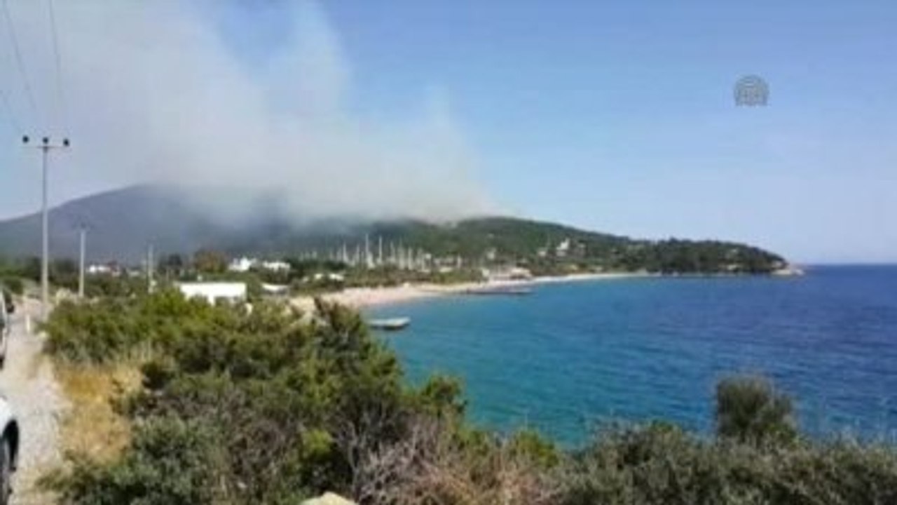 Bodrum'da Orman Yangını