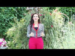 I MIRACOLI SCIENTIFICI DEL CORANO – II