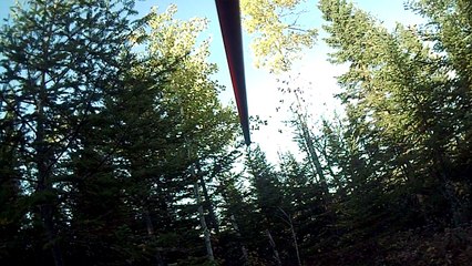 chasse orignal  arc 2013