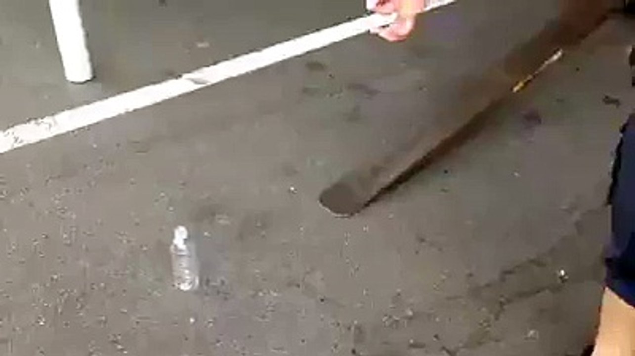 Impressionnant avec son chariot élévateur