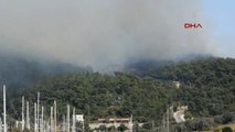 Bodrum'da Makilik Alanda Çıkan Yangın Ormana Sıçradı- Tamamı