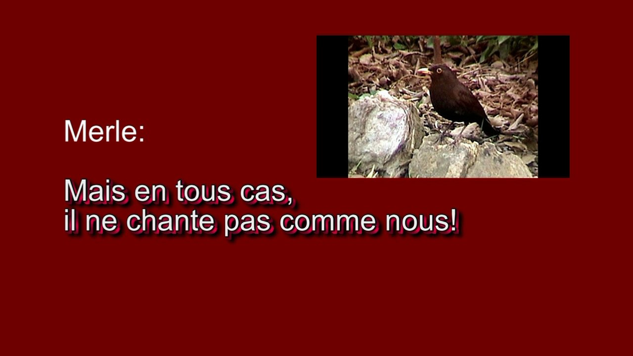 Les oiseaux se parlent