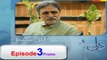 Dil E Beqarar Episode 3 Promo HD on HUM TV 20th April 2016
