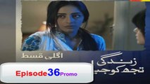 Zindagi Tujh Ko Jiya Episode 36 Promo HD on HUM TV 20th April 2016