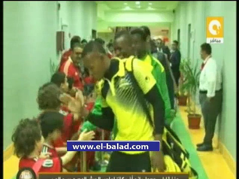 برج العرب