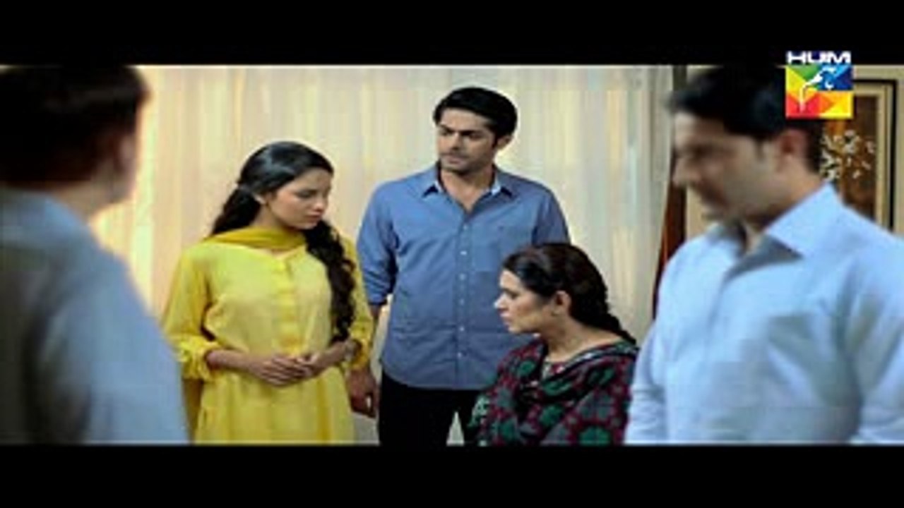Haya Kay Daman Main Episode 16 Full HUM TV Drama 20 April 2016