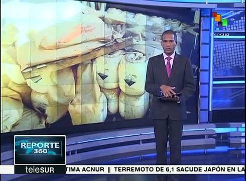 El Daesh ataca con armas químicas a unidades peshmerga en Irak