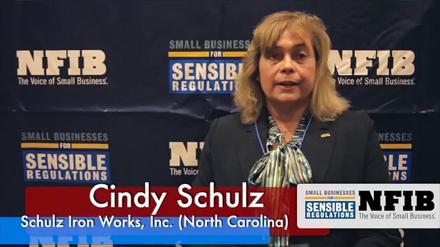 Small Business Owners Speak Out Against Excessive Regulations