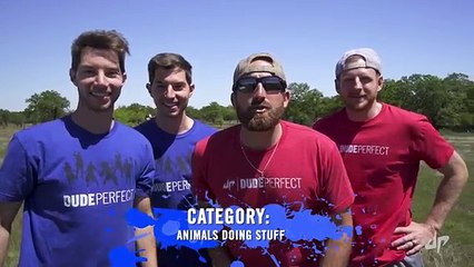 Giant Pictionary Team Battle  Dude Perfect