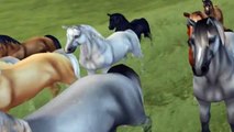 StarStable Online: South Hoof Peninsula's Wild Horses