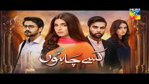 Kisay Chahon Episode 23 Full - 20th April 2016