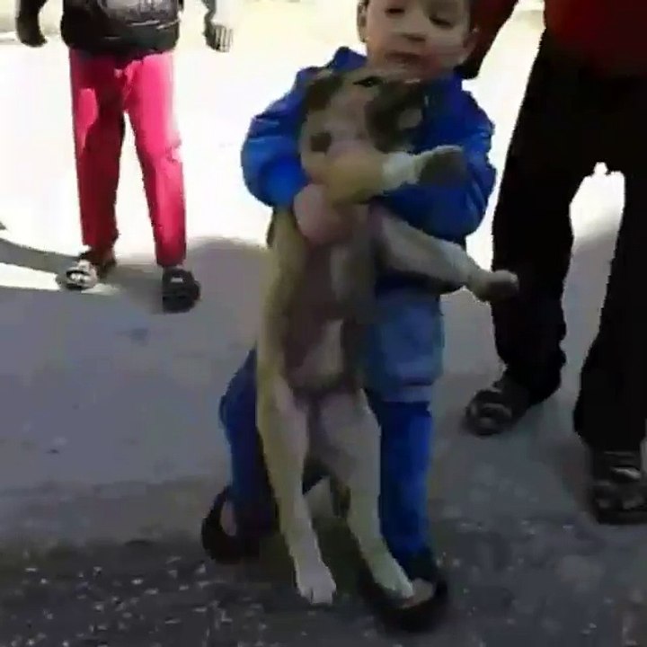 Naughty kid bite dog