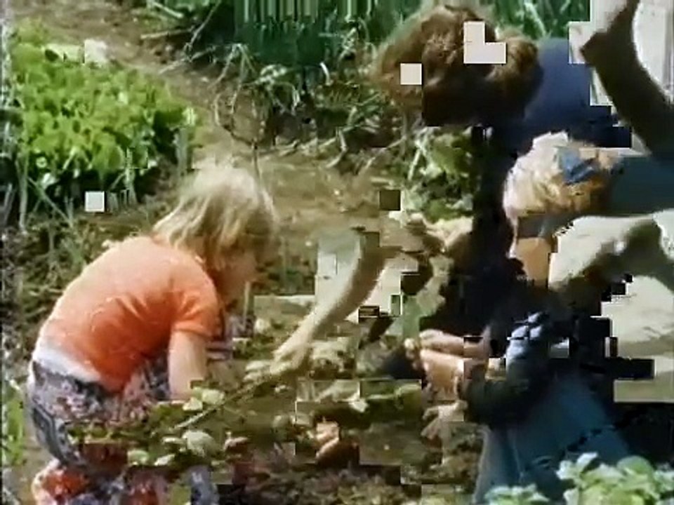 Pusteblume mit Peter Lustig 09 Straßengeschichten