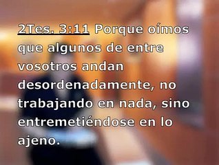 LAS OVEJAS DEL REDÍL