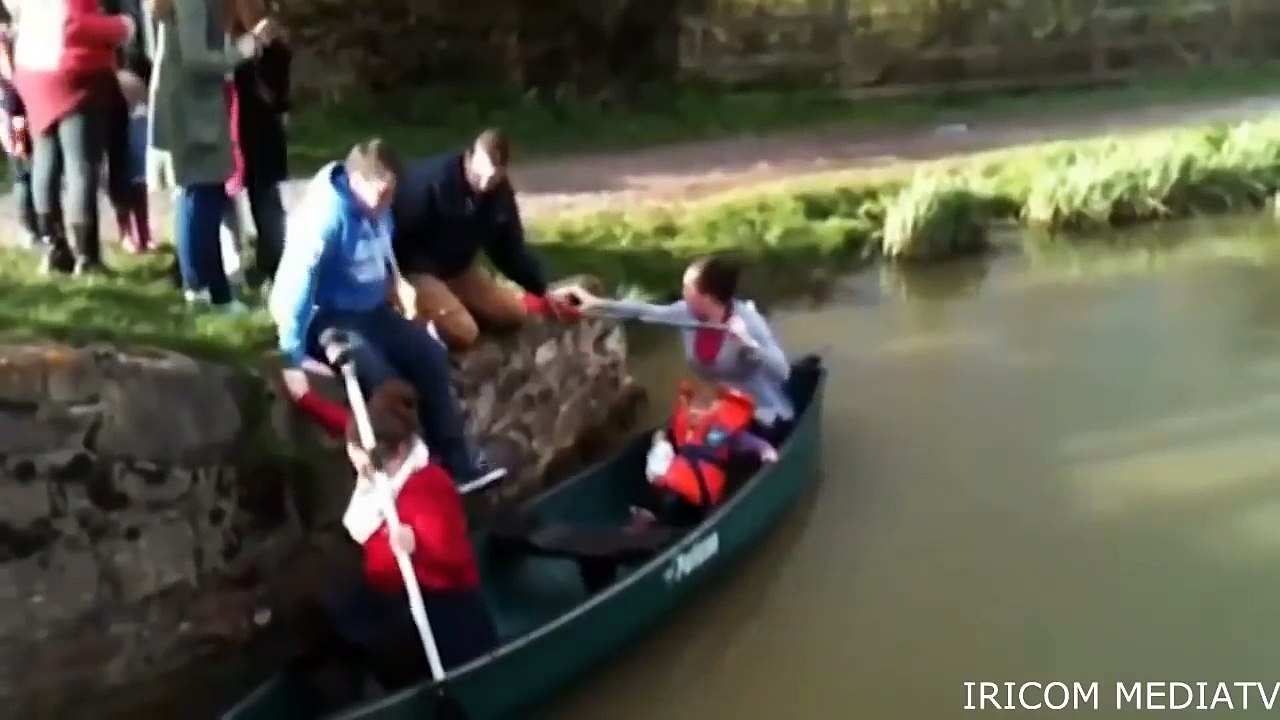 I video umoristici più divertenti e cliccati del 2016