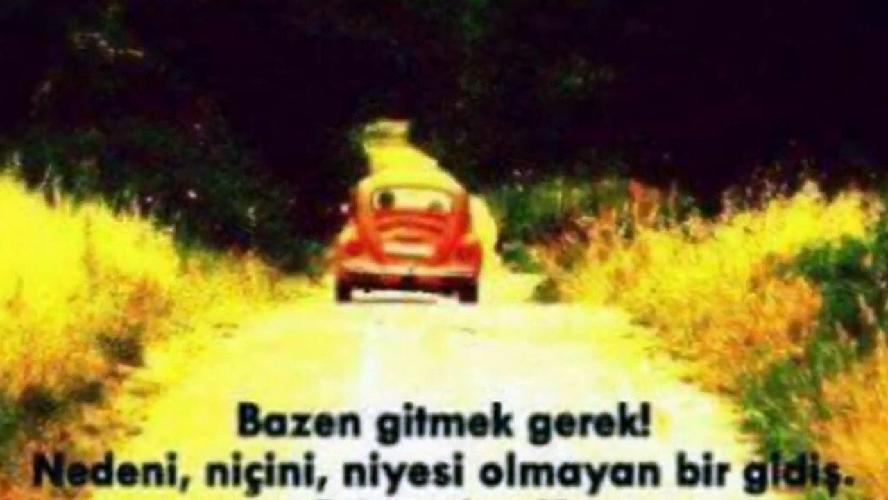 selcuk olgun