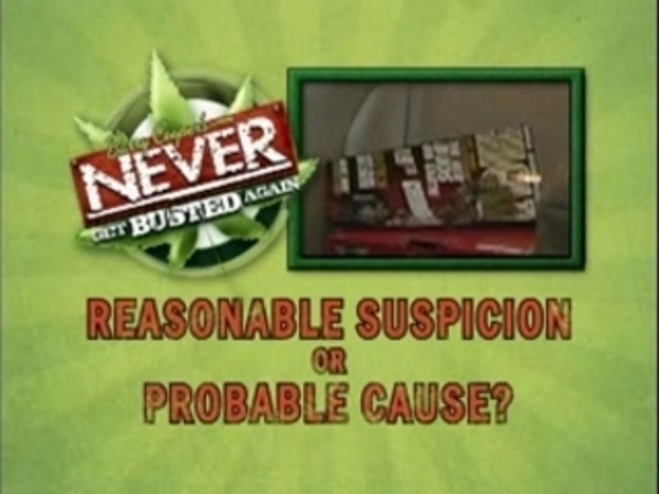 Never Get Busted Again - Search and Seizure
