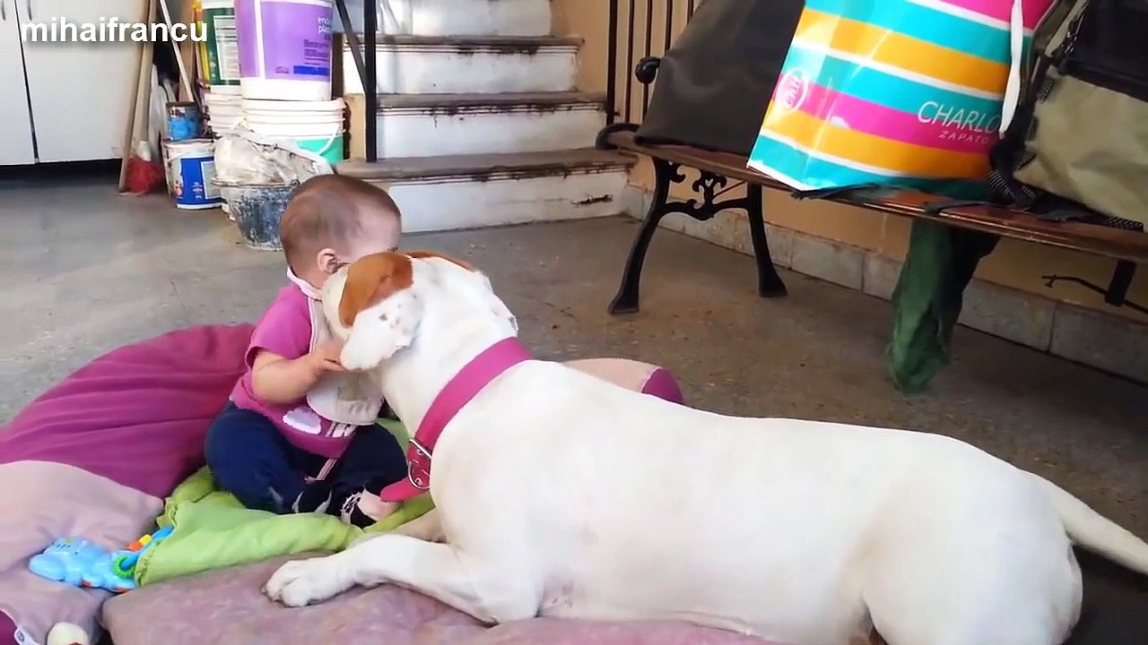 adorable