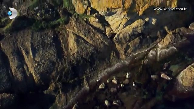 Burcu Biricik-Hayat Şarkısı Jenerik Müziği