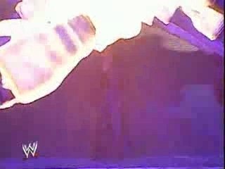 Entry at Wrestlemania XX