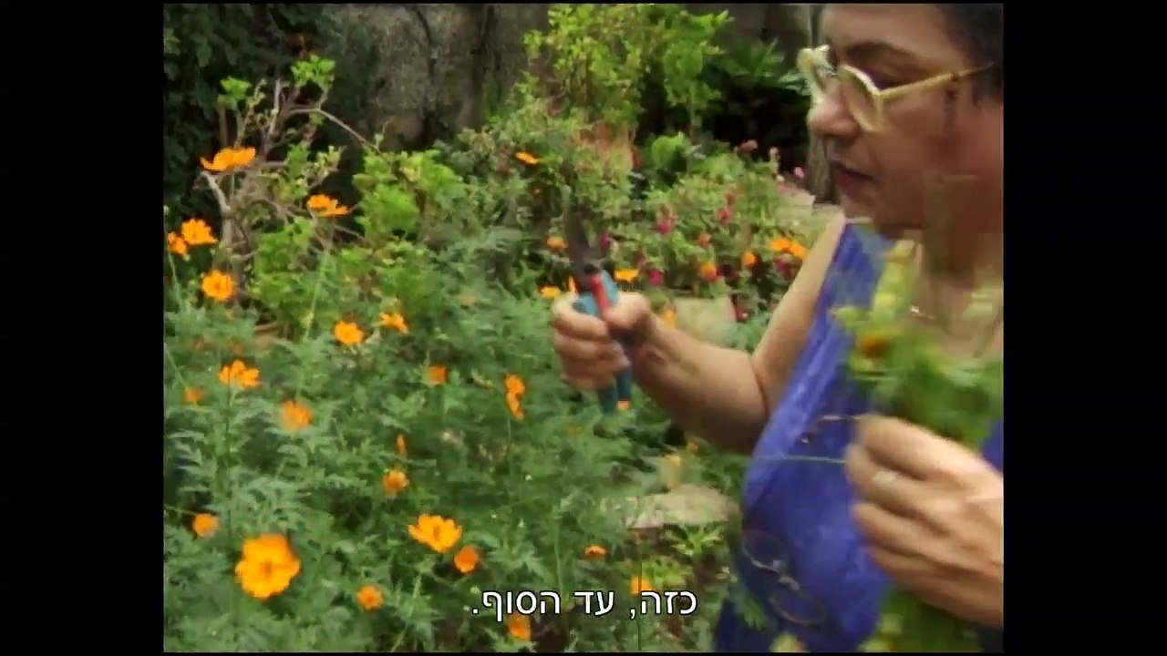 עליזה - סצנה # 4