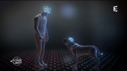 Votre chien vous aime-t-il ? - Le monde de Jamy