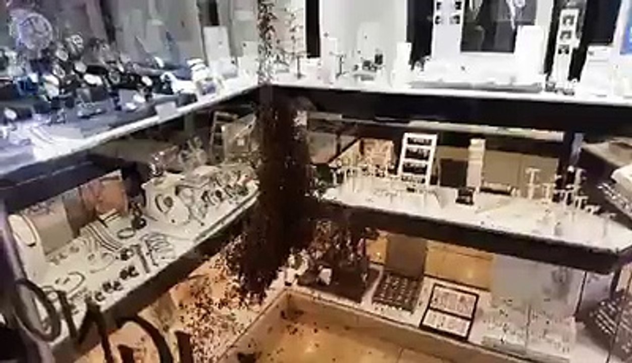 Des milliers d'abeilles prennent d'assaut une bijouterie de Montpellier