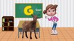 Hoạt Hình Dạy Bé Học Bẳng Chữ Cái Tiếng Anh - Cartoon Baby Learning Teaching English alphabet