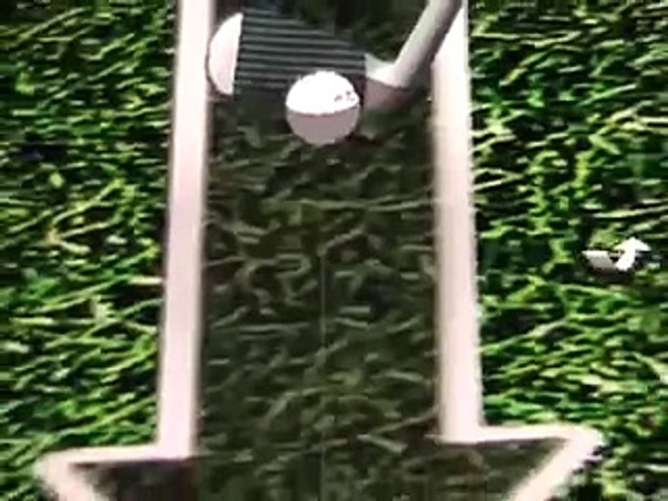 Tiger Woods pga tour 2005