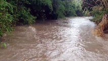 Así quedó el Río Cabriales de Valencia debido al aguacero