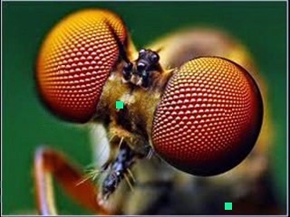 LA HIJA DEL MONSTRUO - POEMA DE VERANO BRISAS