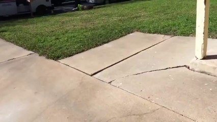 Austin Mail Eater!  Naked man on drugs ATE MY MAIL!