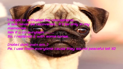 No More Room in Hell-Noob gameplay With friends or dudes! Pt 7 : The Return! :D :D :D