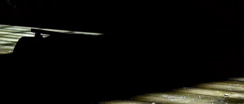 Ninja Assassin Spot 2