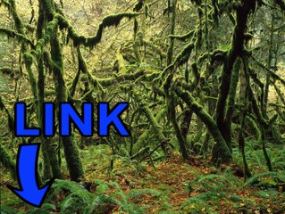 The Mighty Quest For Epic Loot steam keygen telecharger 2016