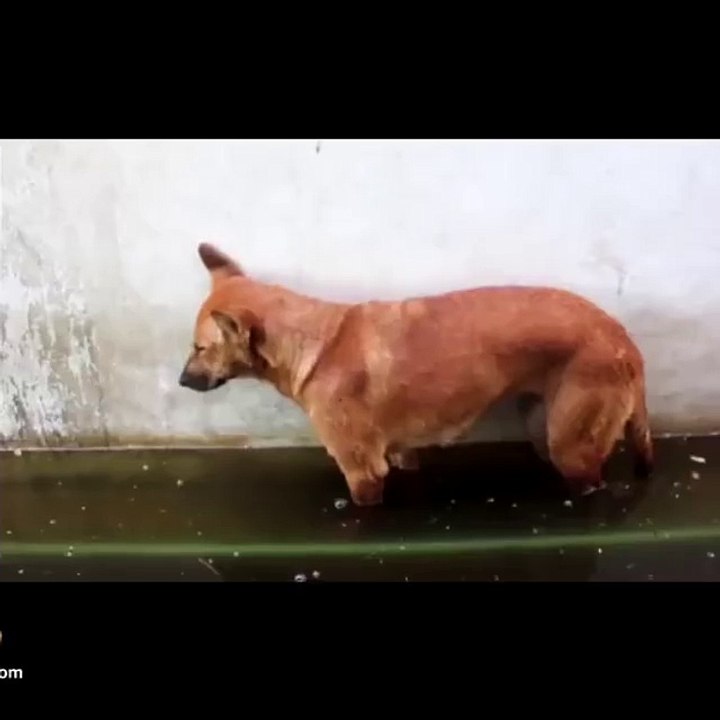 "I "m going fishing.............And big fish.:)"