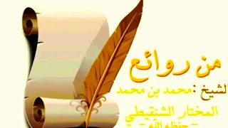 استدراك على المصنف رحمه الله -للشيخ محمدالمختارالشنقيطي