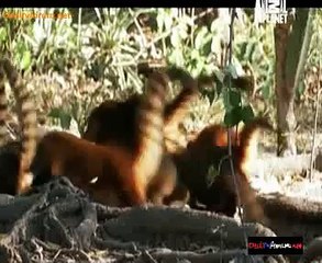 Life Stories 23rd September 2014 Video Watch Online Pt2