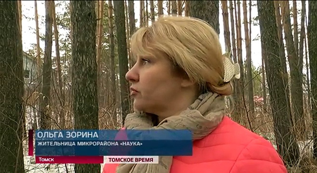 ОНФ Томска держит на контроле ситуацию с сосновым бором в микрорайоне Наука