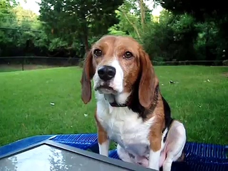 Willow's friend or enemy , Molly