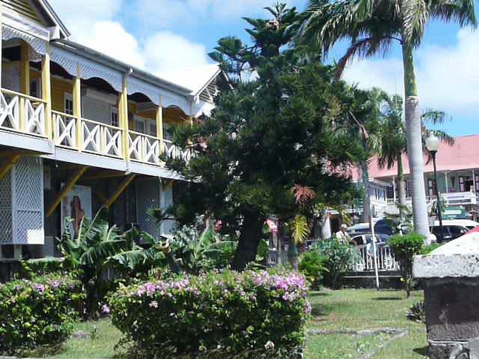 ST. KITTS 019 P1080786