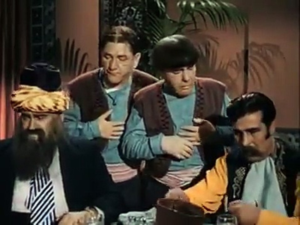 A Hotel's Cook Kill a Cat in Lunch- Funny Videos-Tubeinto.com