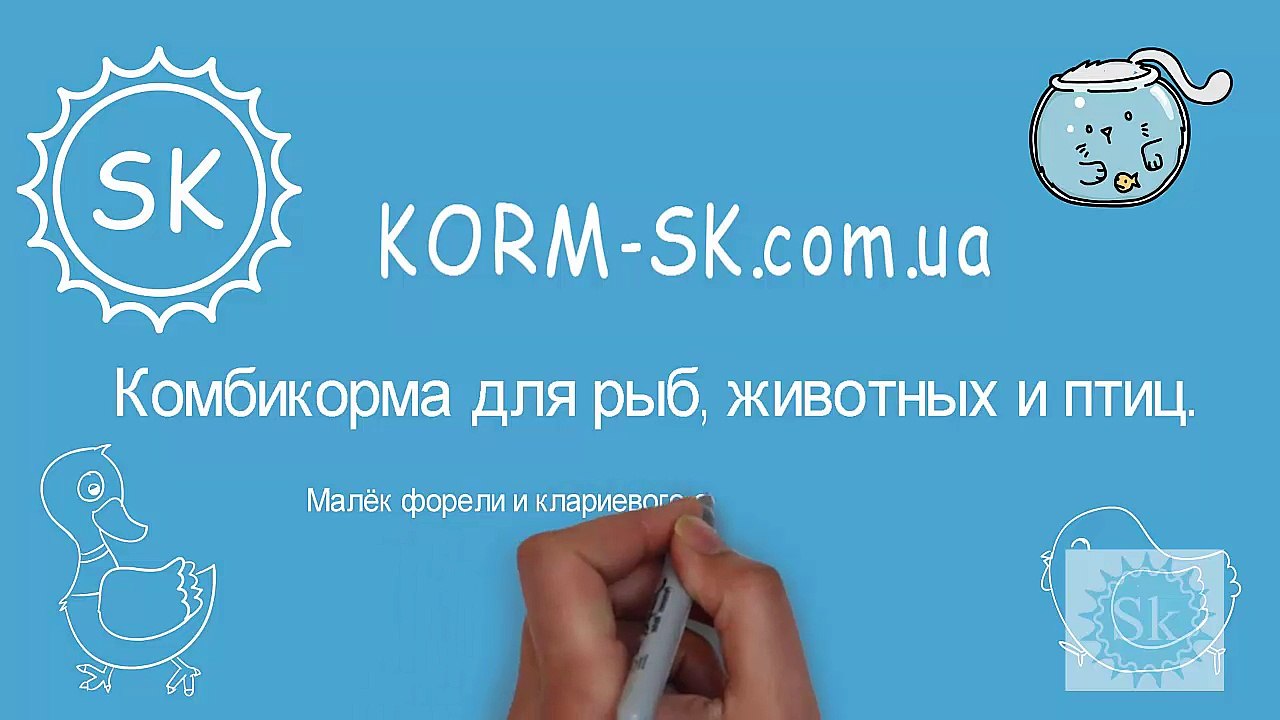 форель